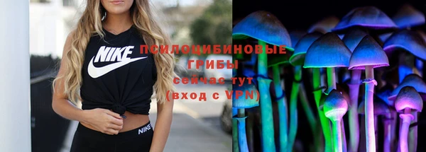 крисы Кинешма