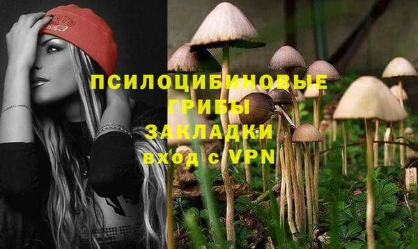 гашик Карталы
