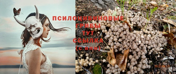 молекула духа Киренск