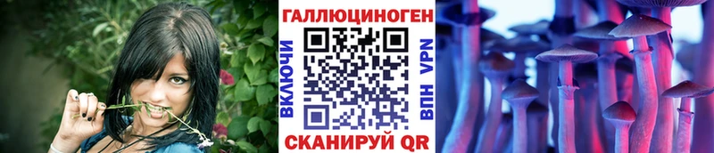 Псилоцибиновые грибы Magic Shrooms  дарк нет Telegram  Маркс 